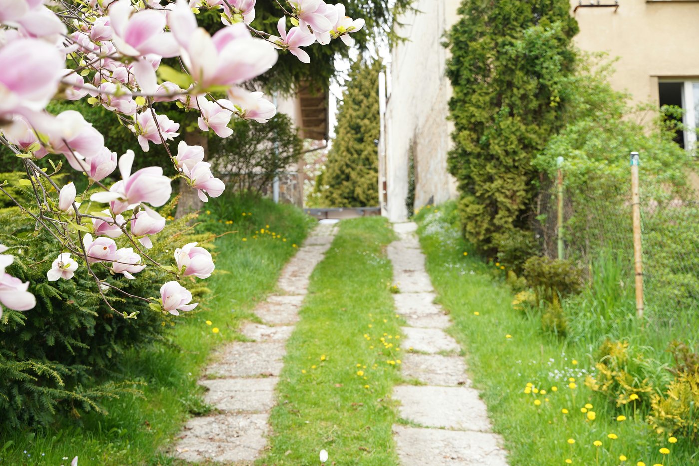 Original state — Garden path